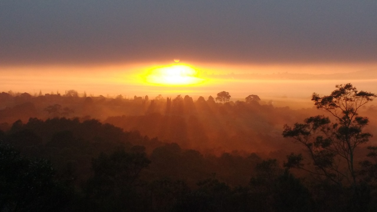 Clarity of vision...